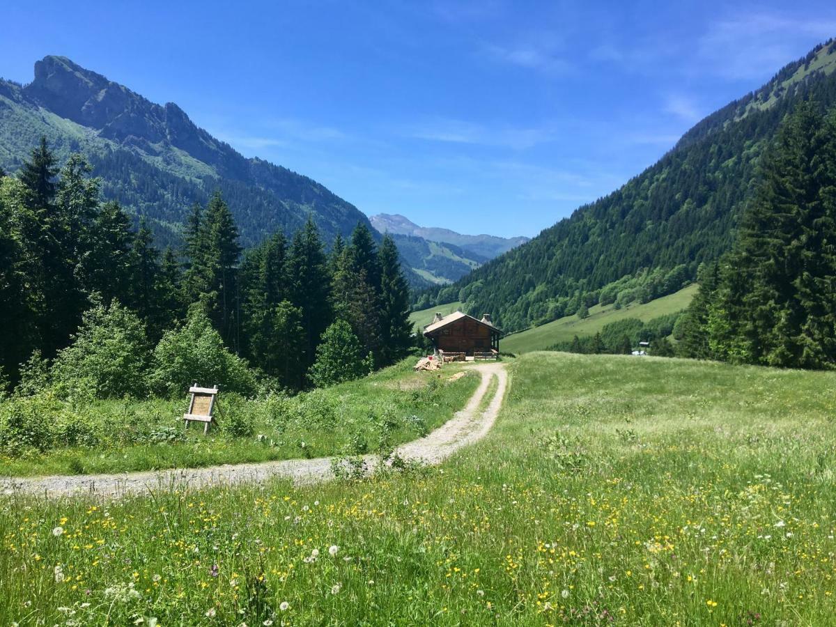 Chalet Marmotte 2 Morzine Exterior foto
